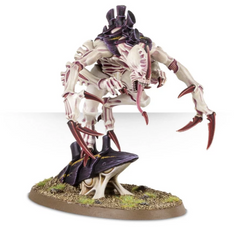 Broodlord | Jack's On Queen