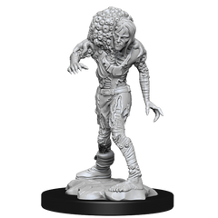 DND UNPAINTED MINIS WV14 DROWNED ASSASSIN & ASETIC | Jack's On Queen