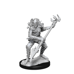 DND UNPAINTED MINIS WV14 KOALINTHS | Jack's On Queen