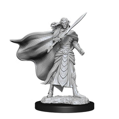 WV14 ELF FIGHTER & ELF CLERIC | Jack's On Queen