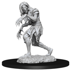 PF UNPAINTED MINIS WV14 ANNIS HAG & GREEN HAG | Jack's On Queen