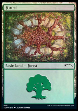 Forest (Plus One) (574) [Secret Lair Drop Promos] | Jack's On Queen