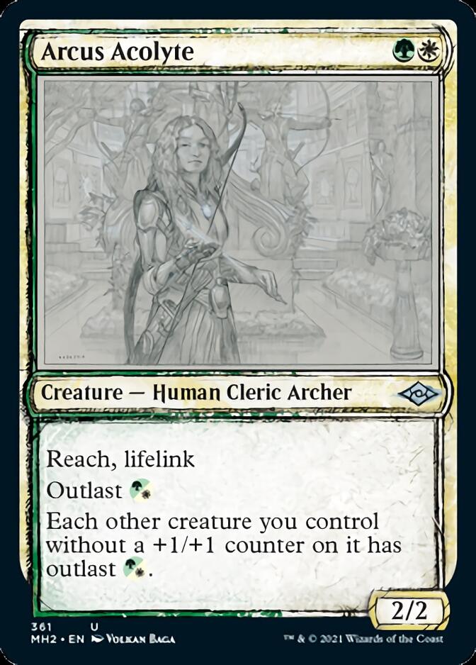 Arcus Acolyte (Sketch) [Modern Horizons 2] | Jack's On Queen