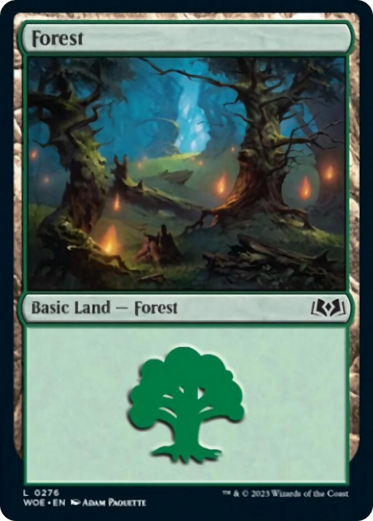 Forest (0276) [Wilds of Eldraine] | Jack's On Queen