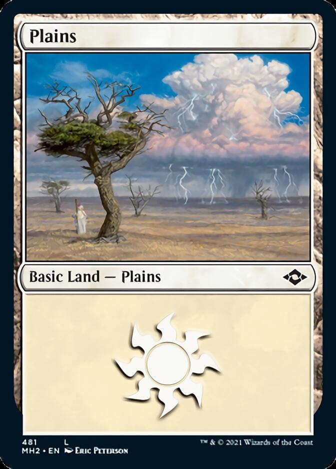 Plains (481) (Foil Etched) [Modern Horizons 2] | Jack's On Queen