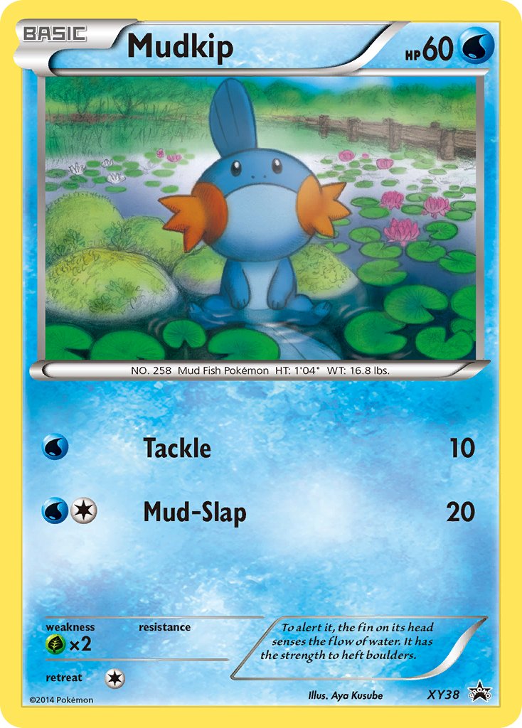 Mudkip (XY38) [XY: Black Star Promos] | Jack's On Queen