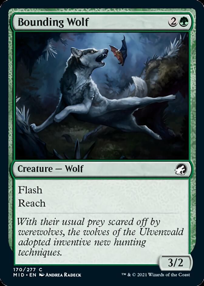 Bounding Wolf [Innistrad: Midnight Hunt] | Jack's On Queen