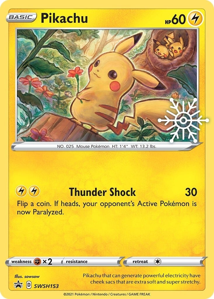 Pikachu (SWSH153) (Holiday Calendar) [Sword & Shield: Black Star Promos] | Jack's On Queen