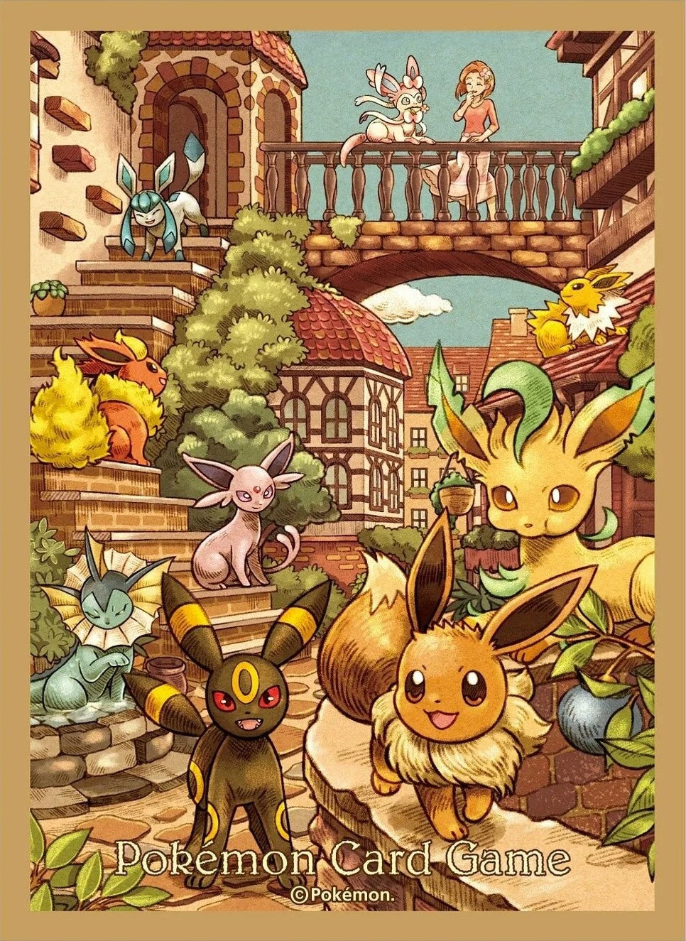 Card Sleeves - Eevee Heroes Gym (64-Pack) | Jack's On Queen