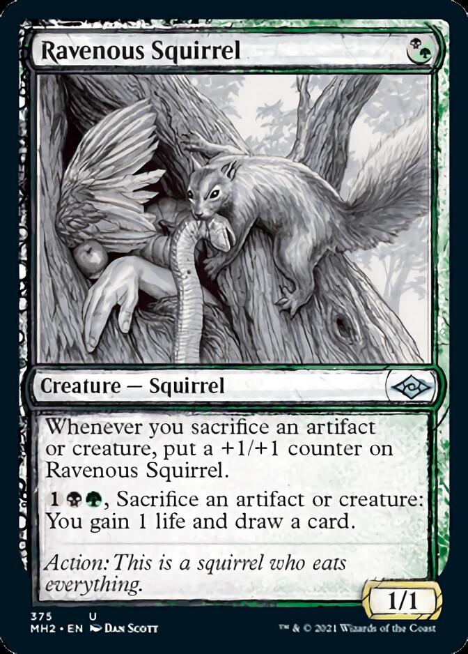 Ravenous Squirrel (Sketch) [Modern Horizons 2] | Jack's On Queen