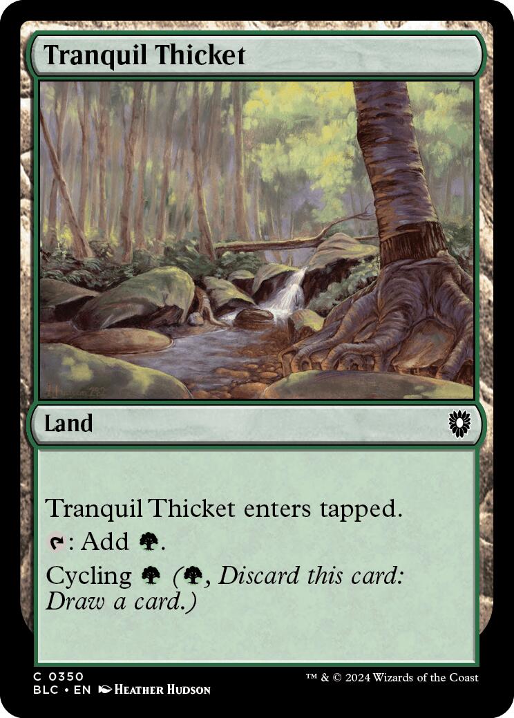 Tranquil Thicket [Bloomburrow Commander] | Jack's On Queen