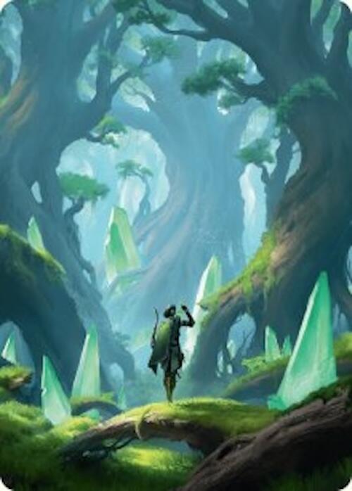 Forest Art Card (25/54) [Foundations Art Series] | Jack's On Queen