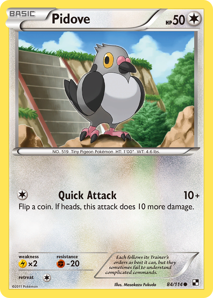 Pidove (84/114) [Black & White: Base Set] | Jack's On Queen