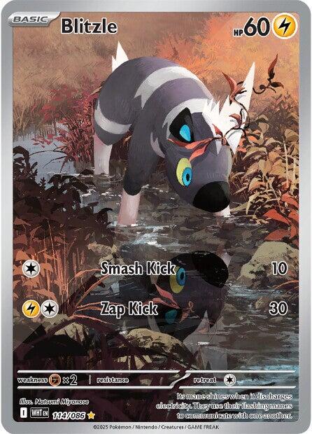Blitzle (114/086) [Scarlet & Violet: White Flare] | Jack's On Queen