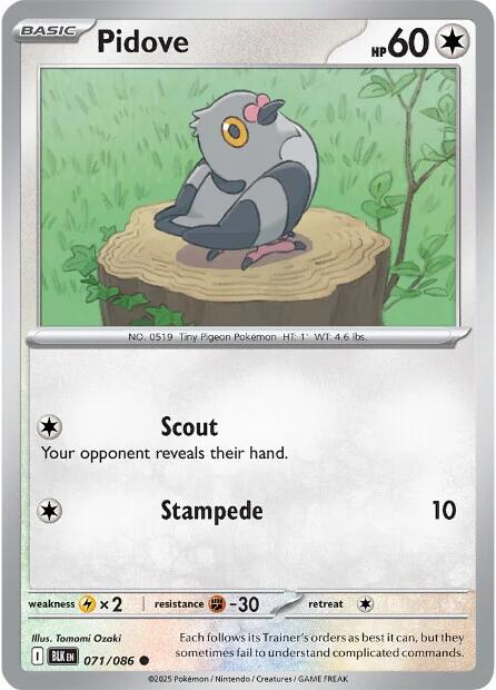 Pidove (071/086) [Scarlet & Violet: Black Bolt] | Jack's On Queen