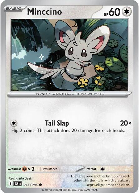 Minccino (075/086) [Scarlet & Violet: Black Bolt] | Jack's On Queen