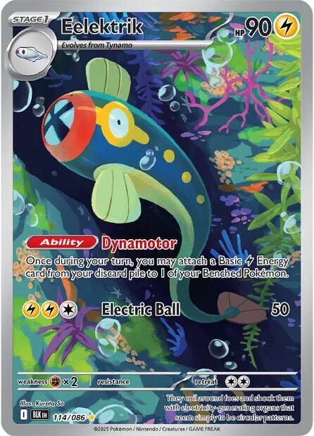 Eelektrik (114/086) [Scarlet & Violet: Black Bolt] | Jack's On Queen