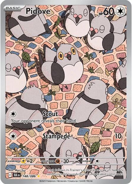 Pidove (148/086) [Scarlet & Violet: Black Bolt] | Jack's On Queen