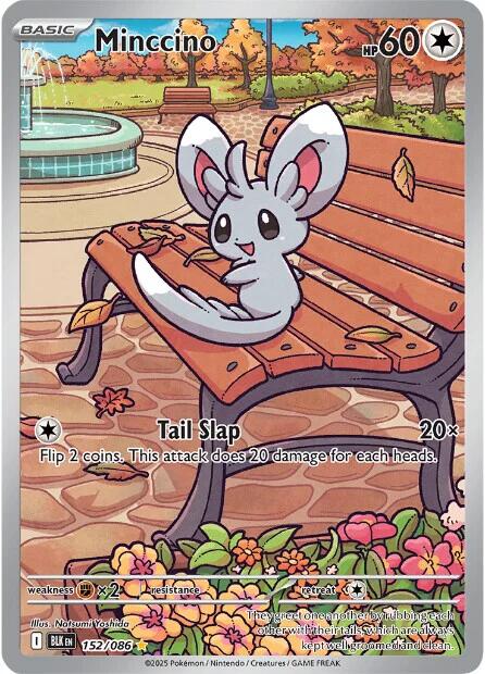 Minccino (152/086) [Scarlet & Violet: Black Bolt] | Jack's On Queen