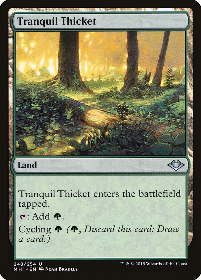 Tranquil Thicket [Modern Horizons] | Jack's On Queen