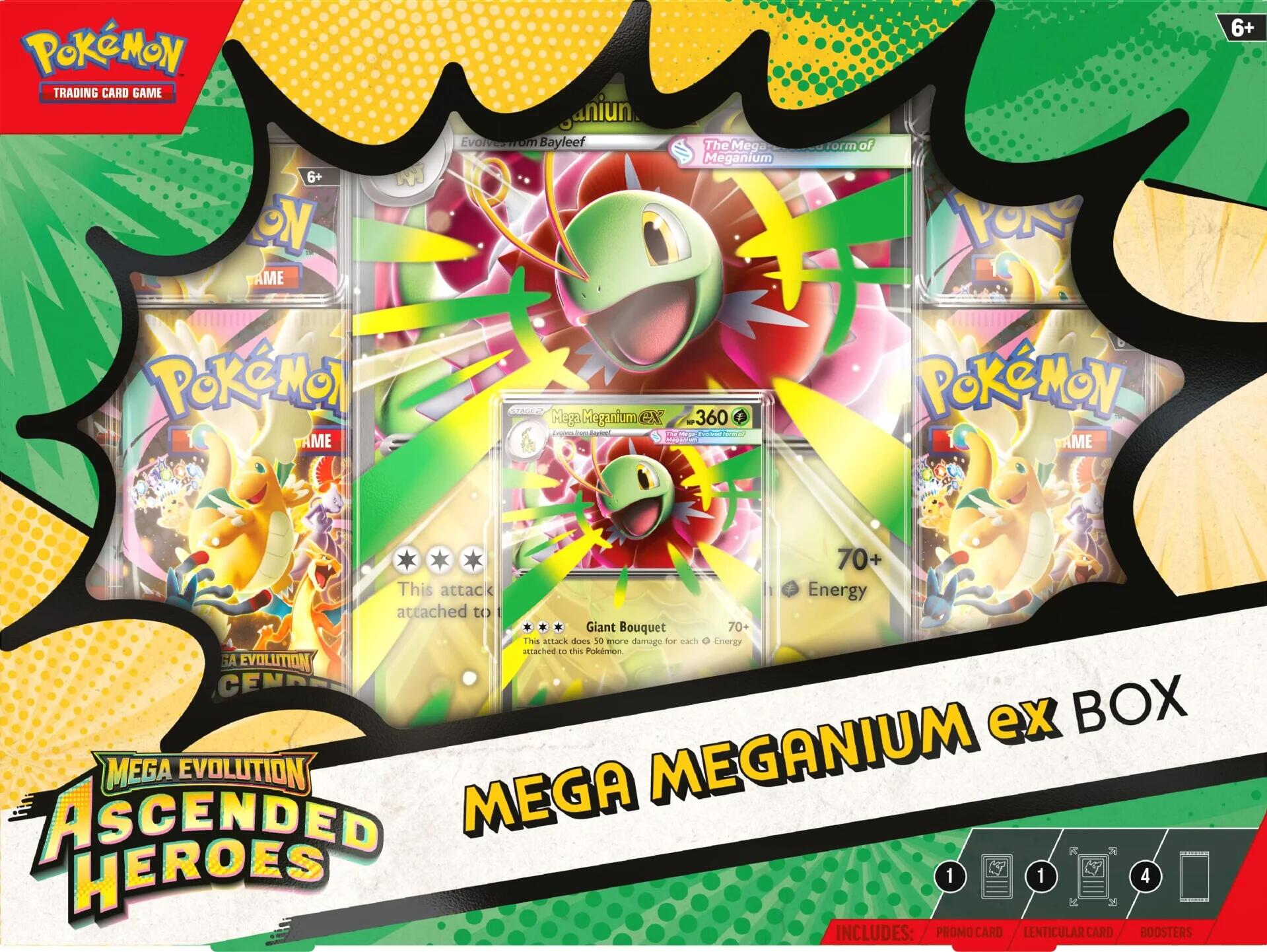Mega Evolution: Ascended Heroes - Mega Meganium ex Box | Jack's On Queen