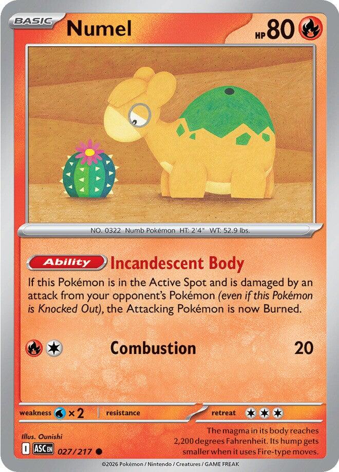 Numel (027/217) [Mega Evolution: Ascended Heroes] | Jack's On Queen