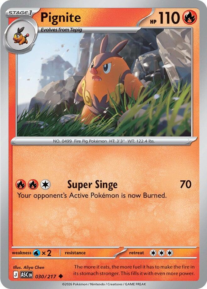 Pignite (030/217) [Mega Evolution: Ascended Heroes] | Jack's On Queen
