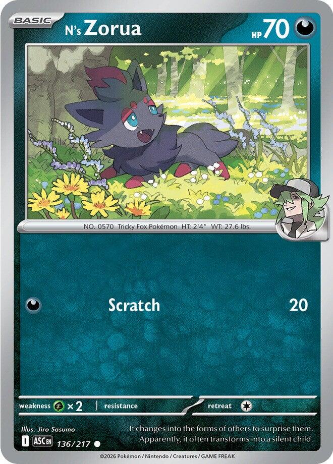 N's Zorua (136/217) [Mega Evolution: Ascended Heroes] | Jack's On Queen