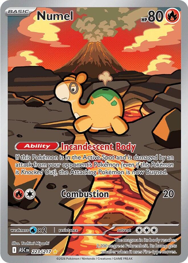 Numel (223/217) [Mega Evolution: Ascended Heroes] | Jack's On Queen