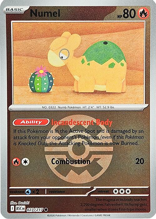 Numel (027/217) (Quick Ball) [Mega Evolution: Ascended Heroes] | Jack's On Queen