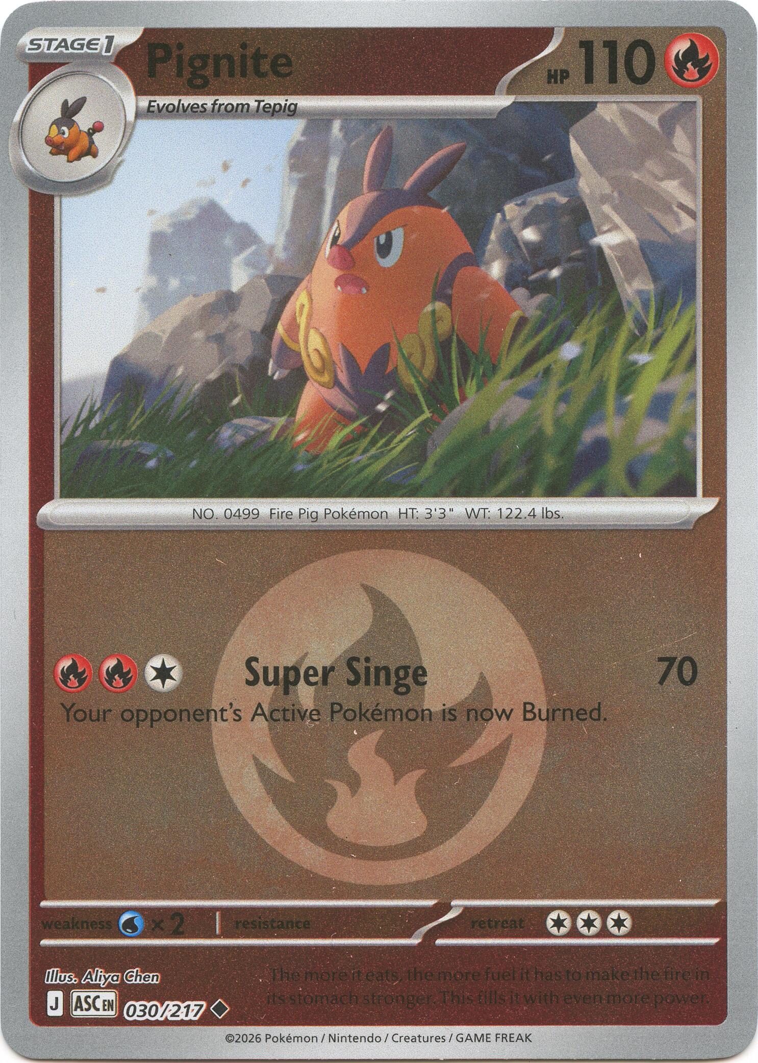 Pignite (030/217) (Energy Symbol Pattern) [Mega Evolution: Ascended Heroes] | Jack's On Queen
