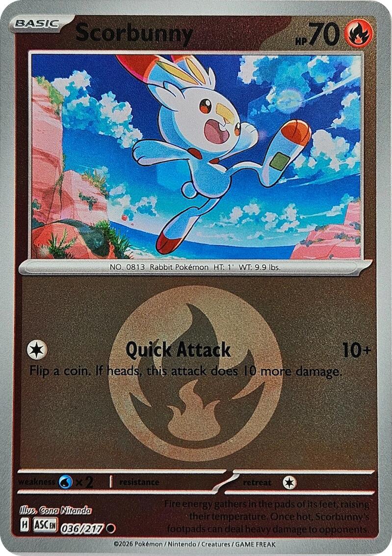 Scorbunny (036/217) (Energy Symbol Pattern) [Mega Evolution: Ascended Heroes] | Jack's On Queen