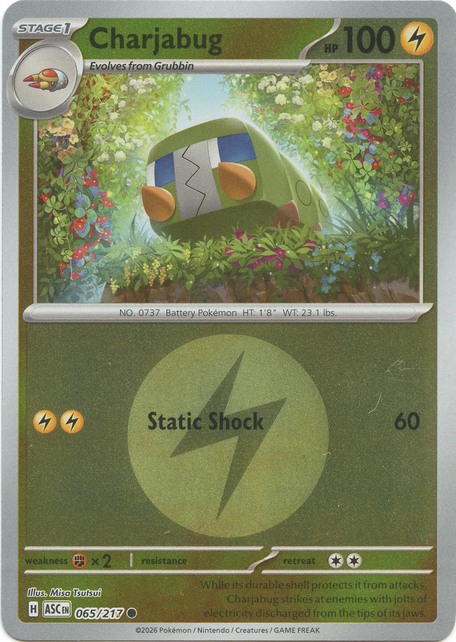 Charjabug (065/217) (Energy Symbol Pattern) [Mega Evolution: Ascended Heroes] | Jack's On Queen