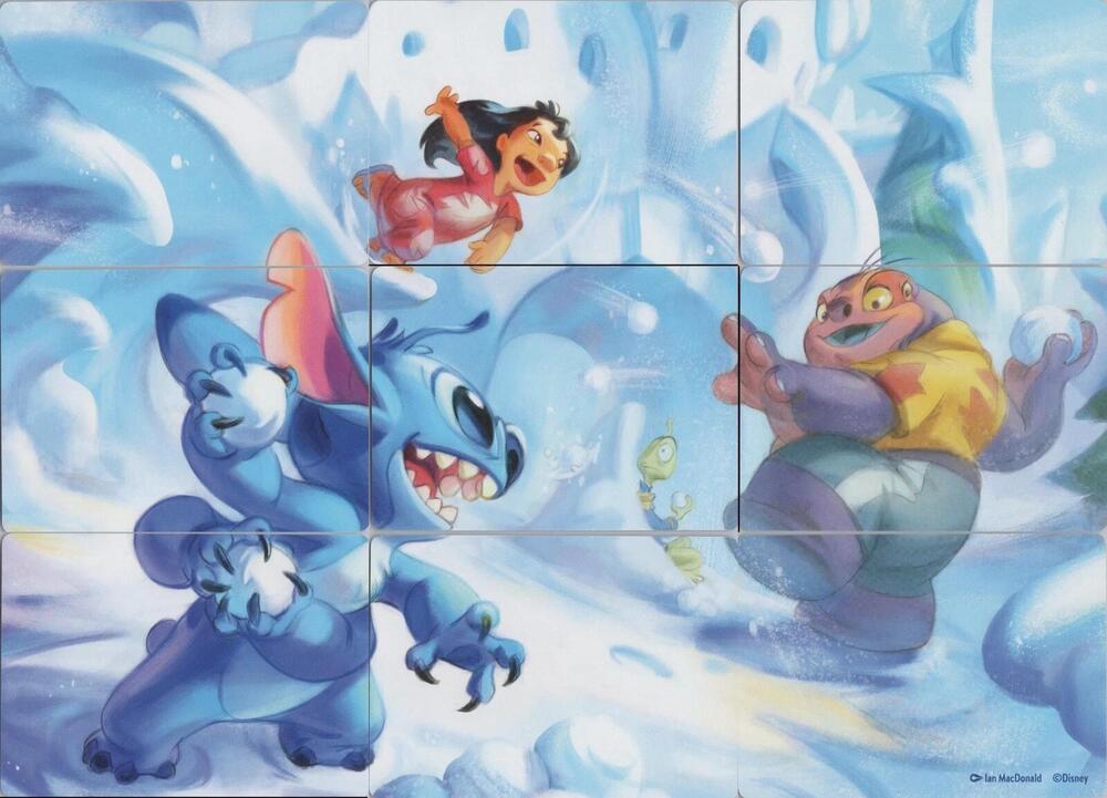 Winterspell Snowball Fight Puzzle Insert (Set of 9) [Winterspell] | Jack's On Queen