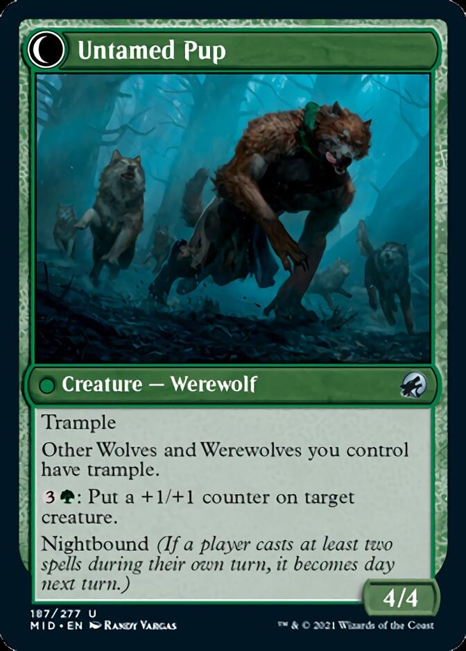 Hound Tamer // Untamed Pup [Innistrad: Midnight Hunt] | Jack's On Queen