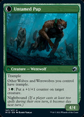 Hound Tamer // Untamed Pup [Innistrad: Midnight Hunt] | Jack's On Queen