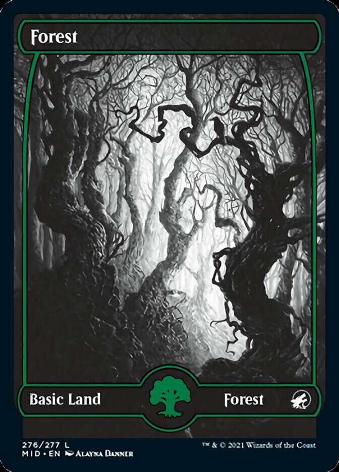 Forest (276) [Innistrad: Midnight Hunt] | Jack's On Queen