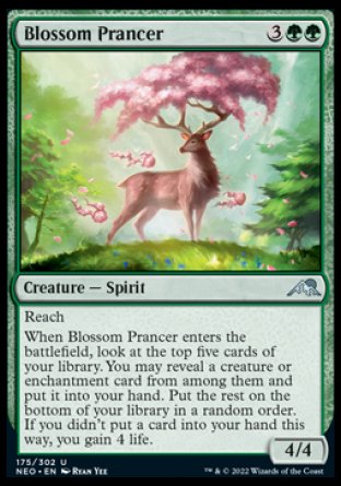 Blossom Prancer [The List] | Jack's On Queen