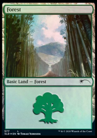 Forest (Walls) (577) [Secret Lair Drop Promos] | Jack's On Queen