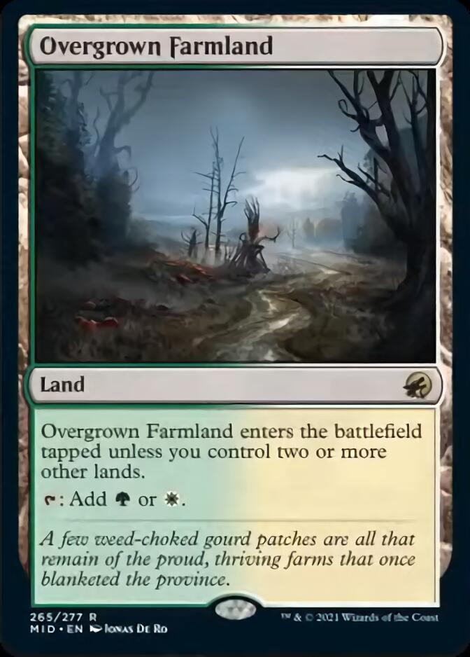 Overgrown Farmland [Innistrad: Midnight Hunt] | Jack's On Queen