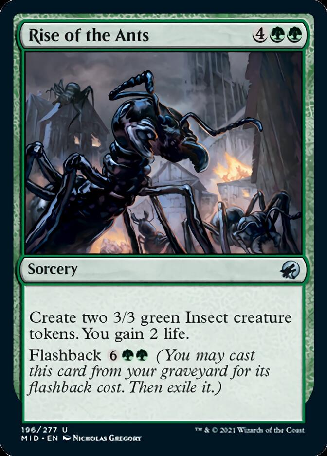Rise of the Ants [Innistrad: Midnight Hunt] | Jack's On Queen