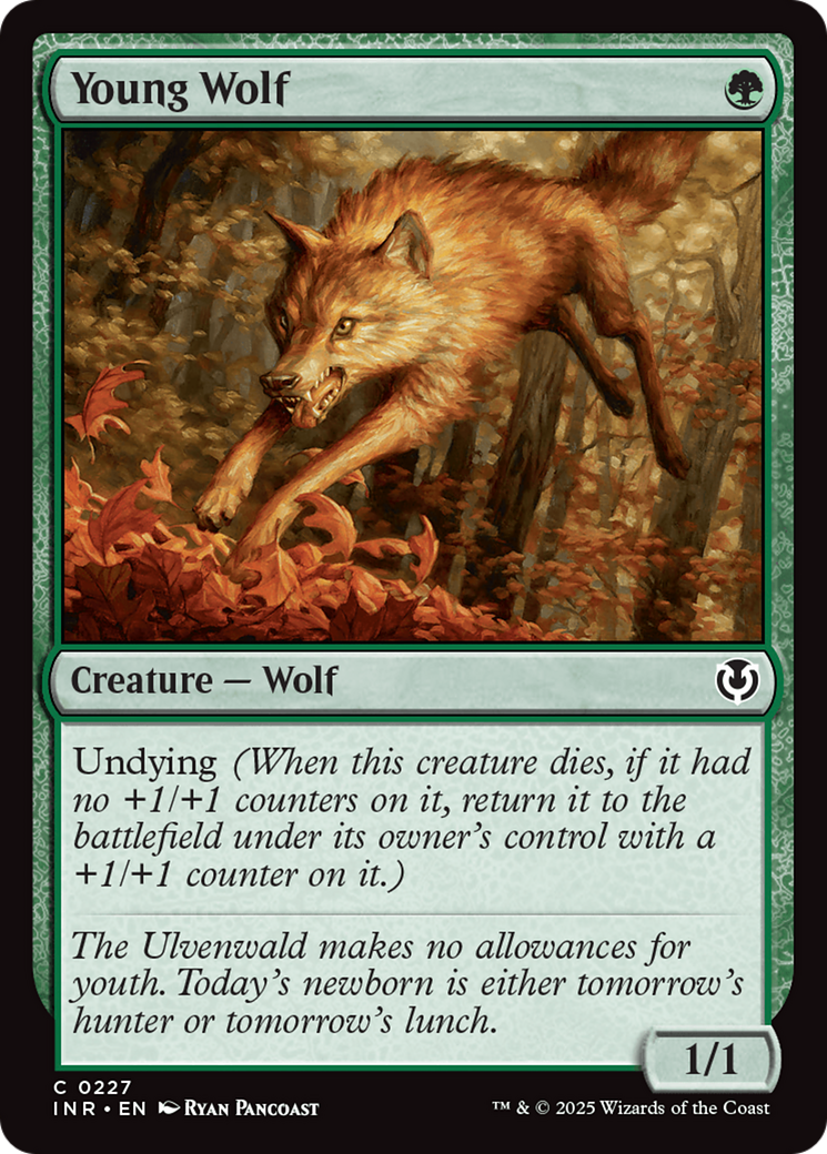 Young Wolf [Innistrad Remastered] | Jack's On Queen