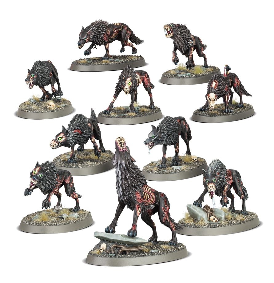 Dire Wolves - Warhammer Age of Sigmar | Jack's On Queen