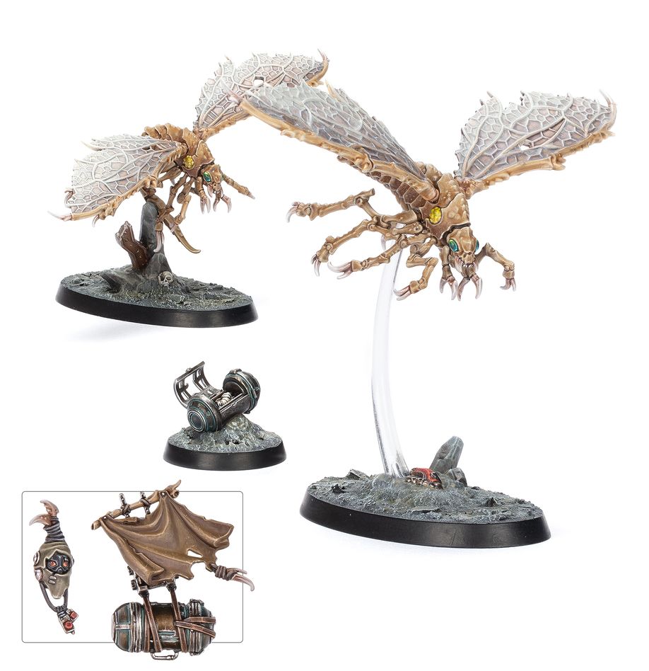 Ashwing Helamites | Jack's On Queen