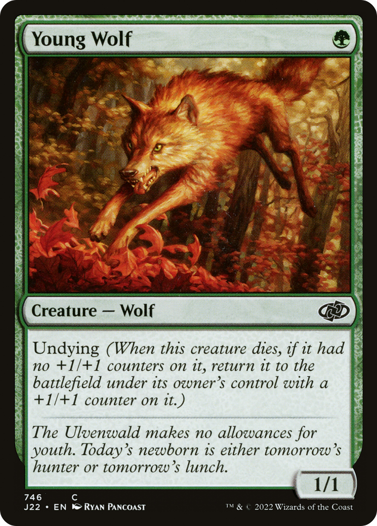 Young Wolf [Jumpstart 2022] | Jack's On Queen
