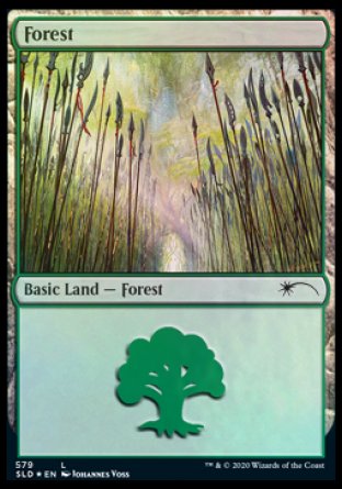 Forest (Elves) (579) [Secret Lair Drop Promos] | Jack's On Queen