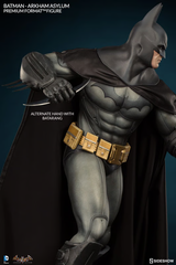 Batman Arkham Asylum Premium Format | Jack's On Queen