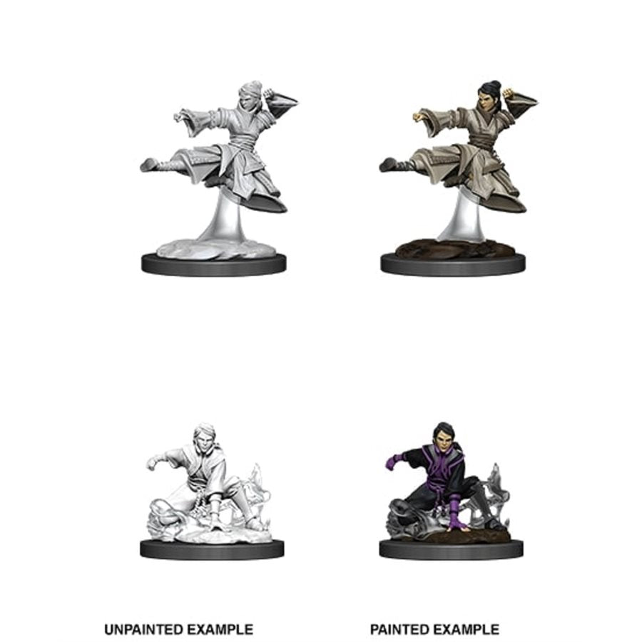 D&D Nolzurs Marvelous Unpainted Miniatures: Wave 11: Female Human Monk | Jack's On Queen