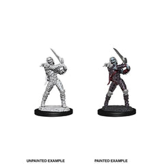 D&D Nolzurs Marvelous Unpainted Miniatures: Wave 11: Wight & Ghast | Jack's On Queen