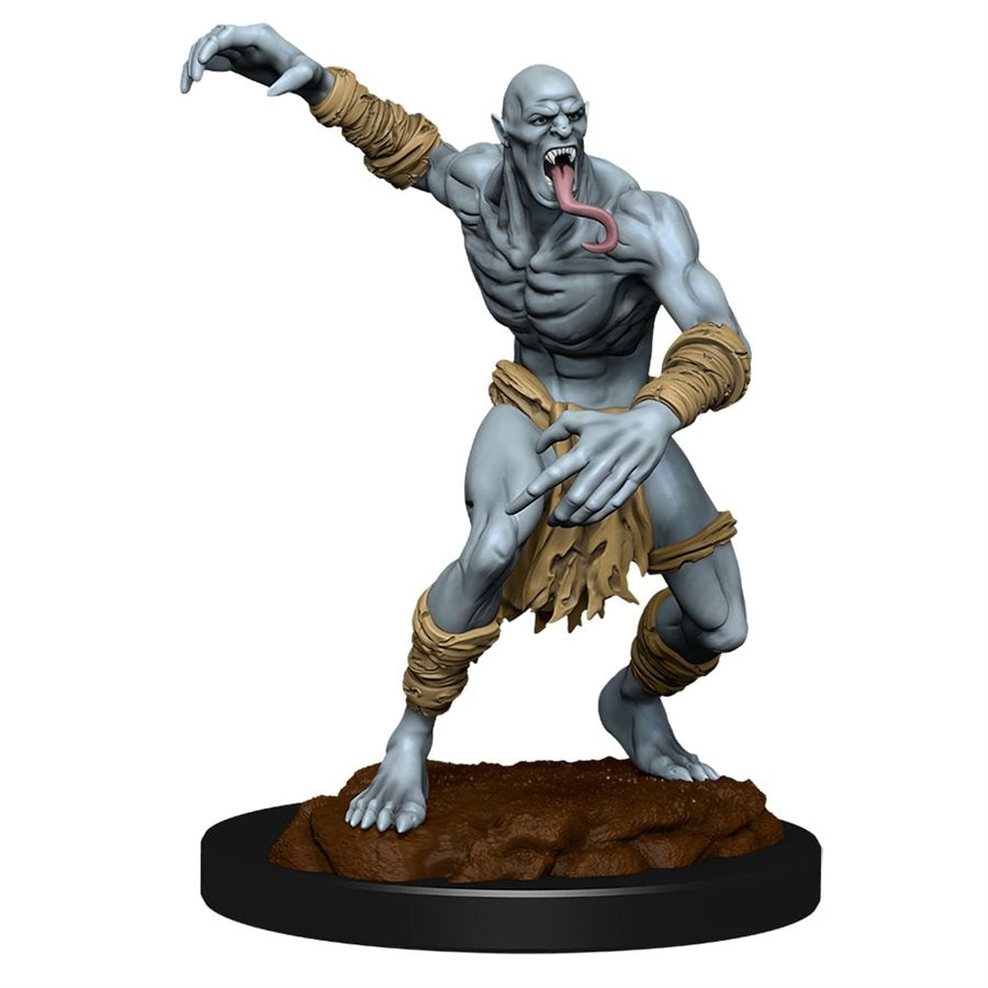 D&D Nolzurs Marvelous Unpainted Miniatures: Wave 11: Wight & Ghast | Jack's On Queen